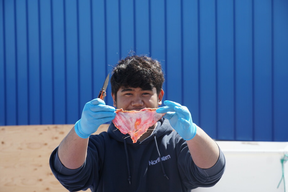 Image shows a student standing outside in front of a blue paneled building, he is wearing blue latex gloves and he is holding up a piece of harvested moose meat