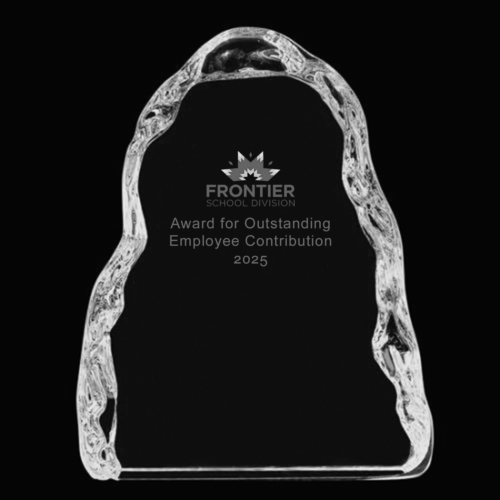 Outstanding Employee Contribution Award  image