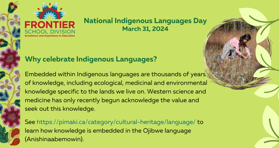 image of the graphic 'Why celebrate Indigenous Languages?' advertisement